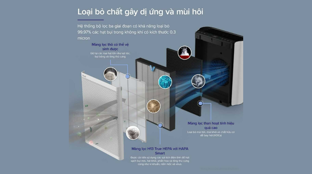 Bộ lọc không khí Levoit Everest Air